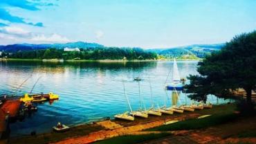 95664492 240561943701284 5444740568104042496 N