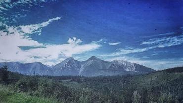 96360841 548530409392092 2220810018326839296 N