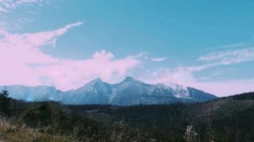 96788419 252802756128566 8713279605995208704 N