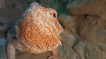 72456749 1159597334244413 8601210105217679360 N