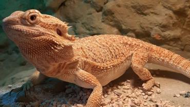 73050579 740392329797743 1109557796799512576 N