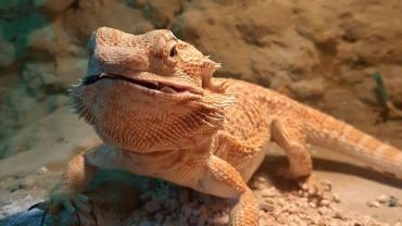 73317721 2440200439554963 2684076808759934976 N 1