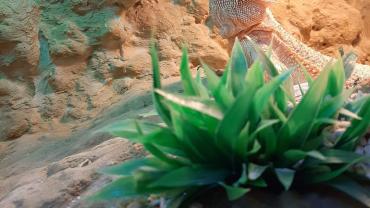 73364083 428776521114953 8873176028629958656 N