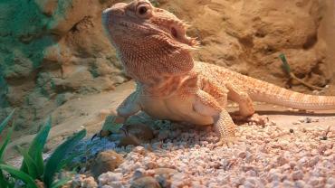 74158285 260459244874405 1352589612165365760 N