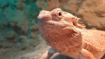 74268161 699299667235297 7895680195485499392 N