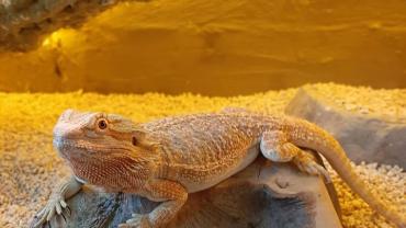 75485937 714311295744725 4066258642515525632 O