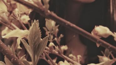 22e94042 6ba4 4e67 8cab 791cc65a28d6