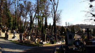 Ukraina Madzia Lis 7