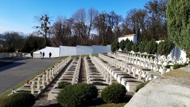 Ukraina Madzia Lis 8