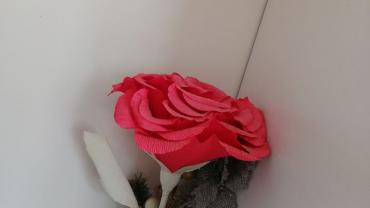 100099644 142297217413459 496421266488557568 O