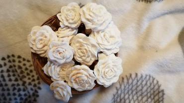 101050629 142297347413446 3182643420002779136 O