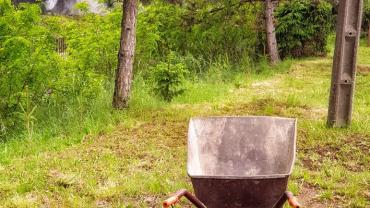 100605113 10213317222483753 5439920579710812160 N