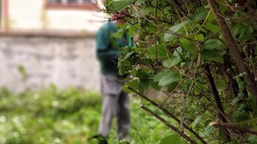 100619311 10213317224403801 2773598495737643008 N