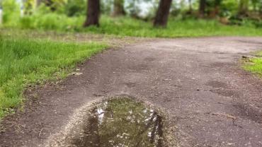 101366075 10213317222203746 3191237237245214720 N