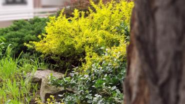 101524927 10213317221563730 2330655142656868352 N