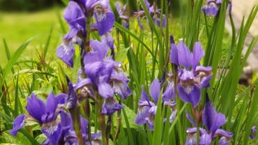 101777398 10213317227283873 6516640379415035904 N