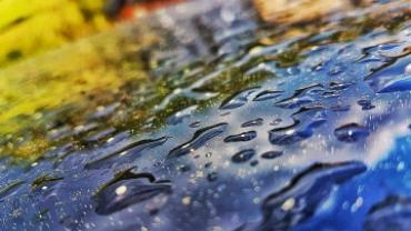 102288768 392101245100673 4884208612550901760 N