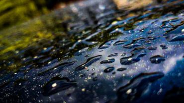 82539777 256089252294946 744728731918008320 N