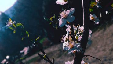 Img 20200414 134703 2