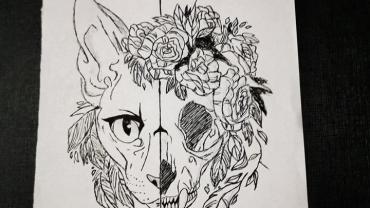 104412441 150419503267897 170123386263018668 O