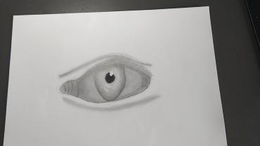 104538640 151090166534164 2801594904416589919 O