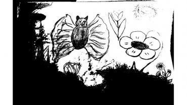 104810428 151089356534245 7603299264610768593 O