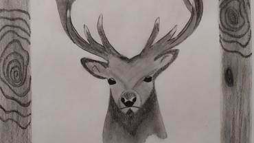 104880542 151089396534241 1259397394255678548 O