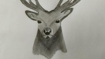 104924090 151089536534227 3601401157877725533 O