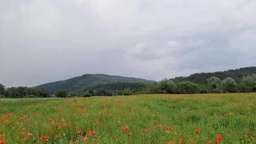 106020399 10213494200948104 3661556071118830983 N