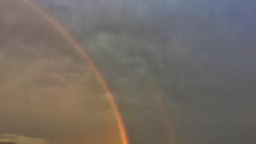 101548697 277212713473677 1337355337396649984 N