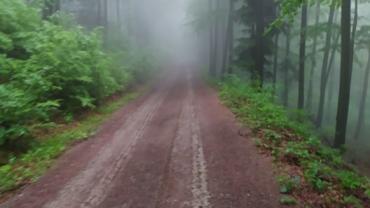 101702886 277718936611848 7230974310679052288 N