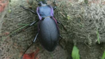 103124457 559884794688060 9031918309701905023 N