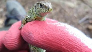 103196906 2590972181150681 3401512540961811094 N