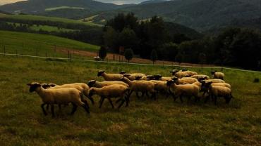 104167890 253015349482649 8968469283151879862 N