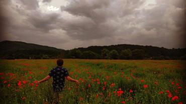 104940137 2349373102034780 6833515577601203384 O