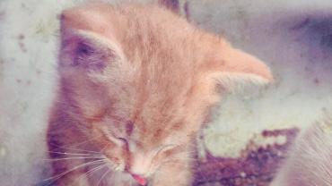 106134824 579868722599292 6659047147749148237 N