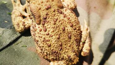 106257793 696982304210602 2172251307712753713 N