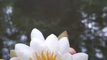 107895582 327422385303638 8603042123278193332 N