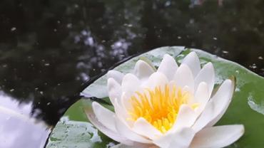 107905724 2728933054002543 542395576628182667 N