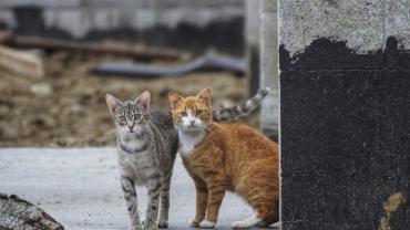 108126093 10213615473659846 1027327055215954938 O