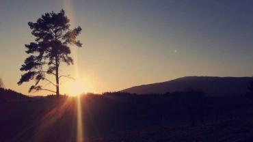 116432116 10213706732501260 4302704118394089326 O