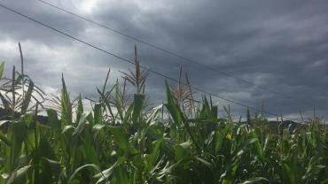 116913383 302558297650138 5538251992030395095 N