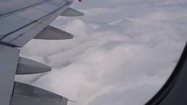 117107464 10213730891145211 3344151491875698469 O