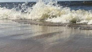 117444640 3392457207459061 1887855561657769789 O