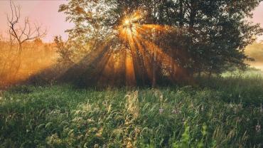 117637589 312028416612481 8974527898855259518 N