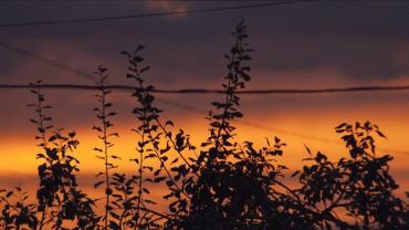 117717705 947064859112596 945107070787436326 N