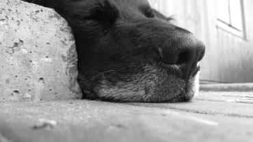 117781718 10213789016478308 6978277665874971526 O