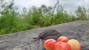 118003413 10213815249894127 5493853181171560272 N