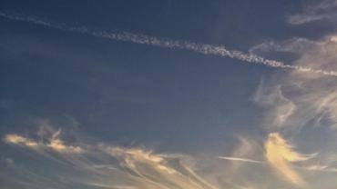 118219802 337093994004866 1298580842747380459 N