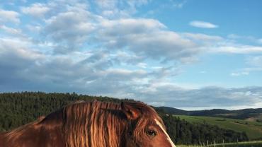 118396825 637581367158083 7874850977689440205 N